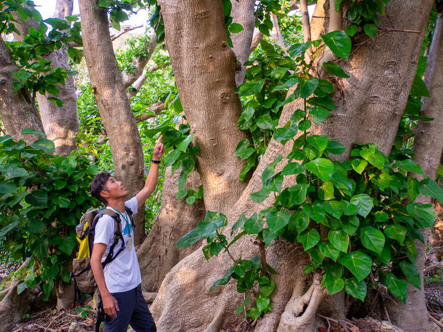 �X���o����܂ł�z�����Ă݂ĉ������B_�����K�C�hPolaris