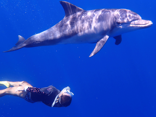 �C���J�Ɖj���O�ɃX�m�[�P�����b�X���͂������ł����H_�����K�C�hPolaris