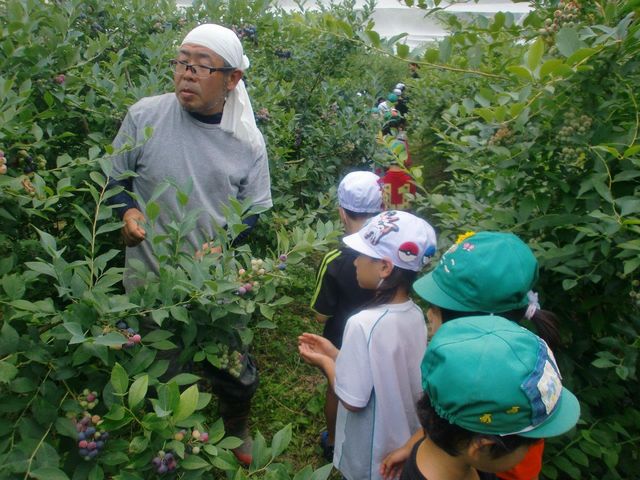 �O�g�R�@�`�c�_�Y