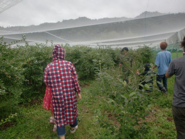 �O�g�R�@�`�c�_�Y