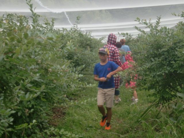 �O�g�R�@�`�c�_�Y