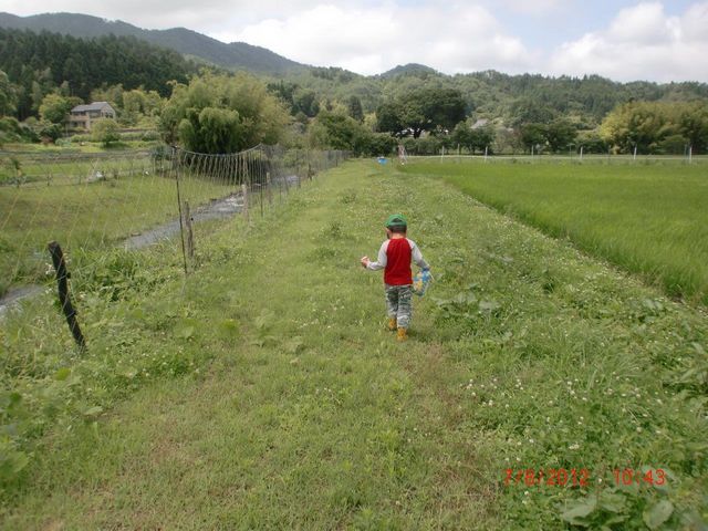 �O�g�R�@�`�c�_�Y