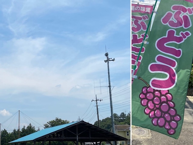 ����Ԃǂ���