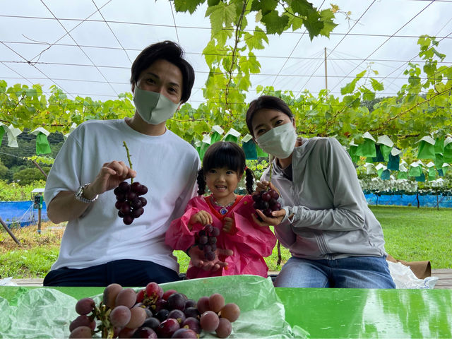 ����Ԃǂ���