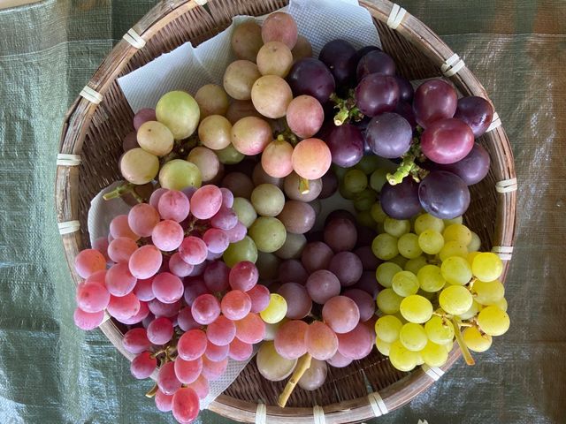 ����Ԃǂ���