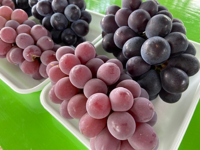 ����Ԃǂ���