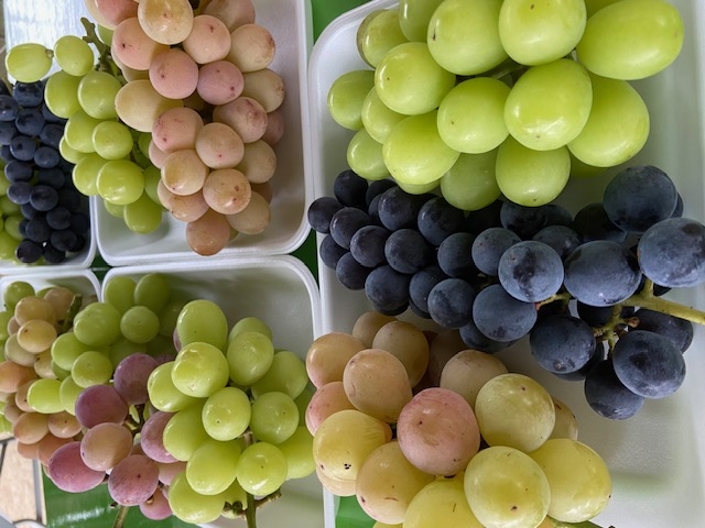 ����Ԃǂ���