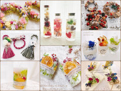 Belle fleur�̎ʐ^1