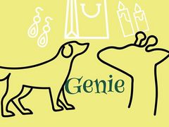 Genieの写真1