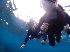 伊豆アクアマリンの写真1