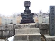 _R(ORpm}nCLOR[X)̎ʐ^2