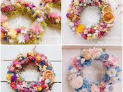 Belle fleur�̎ʐ^2