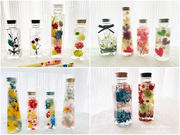 Belle fleur�̎ʐ^3