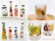 Belle fleur�̎ʐ^2