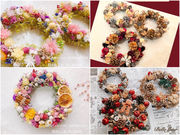 Belle fleur�̎ʐ^3