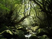 Kichikin Trek v̎ʐ^3