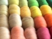 rуtFg&Shop TeyneyFelt̎ʐ^2