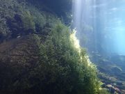 P[uEGNXv[[YECiY~̎ʐ^4