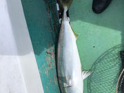 ΔnA[tBbVOVD@Ȃۂ̎ʐ^3