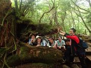 WONDER MOUNTAIN v̎ʐ^2