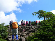 {SRuȎRvĎRgbLO̎ʐ^2