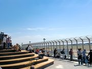 ���c��`���g���[�g�̎ʐ^3