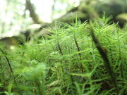 yxmRRVсzXpCV[W̎ʐ^4