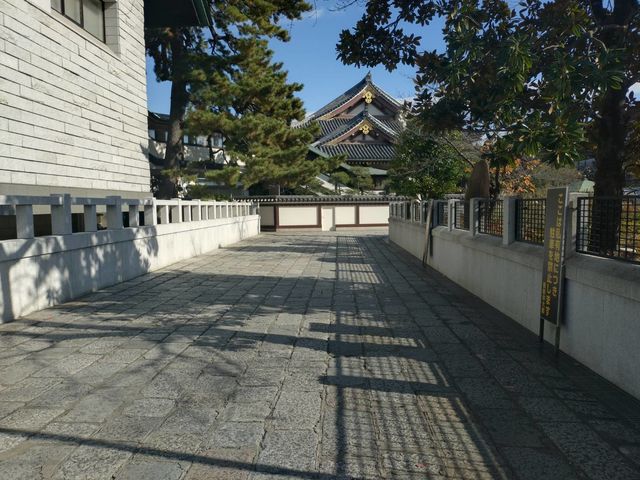 �E�ґ̌��� �����(�E�҂̗��Ō�)