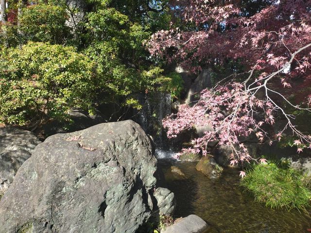 ��\_�E�ґ̌��� �����(�E�҂̗��Ō�)