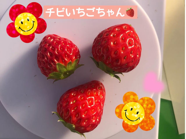 ���т����������I_䕈ꉏ