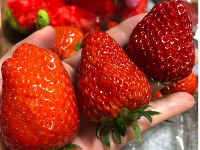 �����������̕i�핪���邩�ȁH_䕈ꉏ