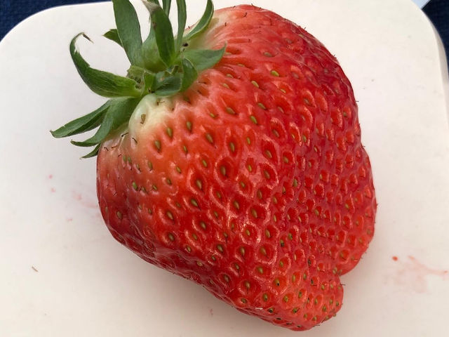 1��60g�ȏ�̃}�����X����������񂪏o���鎞������܂��I_䕈ꉏ