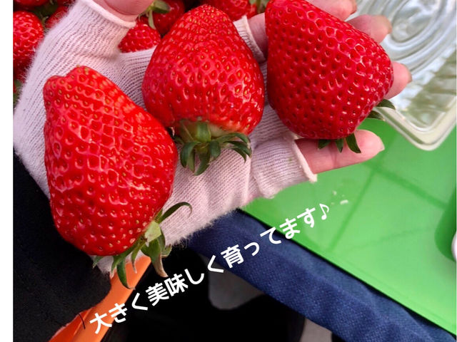 ���ł��傫�Ȃ���������񂪎����Ă����ł͖����A�����������̐���ɂ͔g������܂��B�����������L��Α傫������Ă��鎞������܂���
_䕈ꉏ