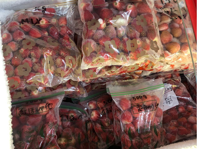 �V�[�Y���I�������A�撣���Ă��ꂽ�����������̕c��������O�Ɏ��n���A�Ⓚ�������̔������Ă���܂��B_䕈ꉏ