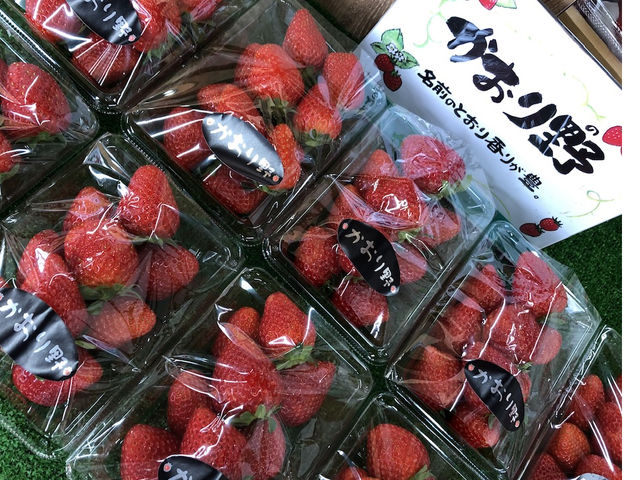 ���X�ɂ͒��̂�̐V�N�Ȃ������p�b�N�̔�������܂���_䕈ꉏ