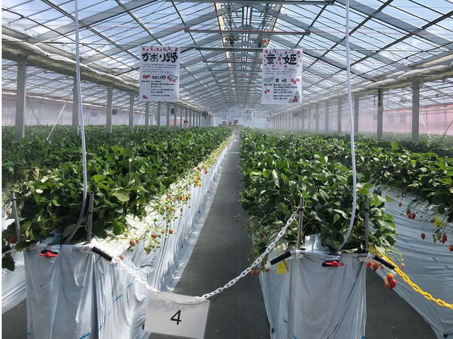 �������n�E�X�͉��s��������̂ŁA���܂ōs���Ă����������y����łˁI_䕈ꉏ