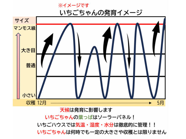 2������1�Ԃ����������̈琬�y�[�X���X���[�ɂȂ鎖������܂��B
�T�C�Y�������Ȏ�������܂��B_䕈ꉏ