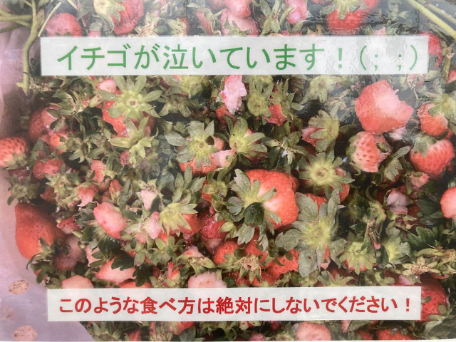 �X�^�b�t���ꐶ������Ă������������̓w�^�ȊO�A��؂ɐH�ׂĂ��������ˁI
�H�ׂ鎞�́u���v�w�^������H�ׂ܂��傤�I
�h�{���w�^�̋߂��ɂ���܂���_䕈ꉏ