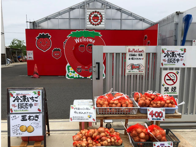 �A�O���_���ň�Ă��G�߂̖�ؔ̔�������܂���_䕈ꉏ