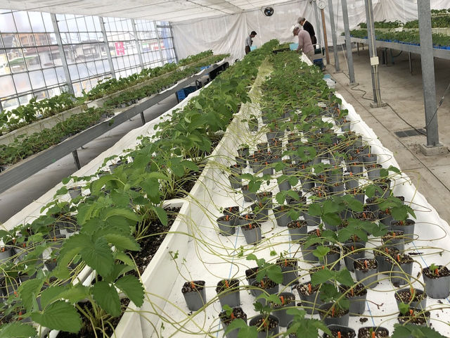 �X�^�b�t�݂�Ȃň�ĂĂ���܂���_䕈ꉏ