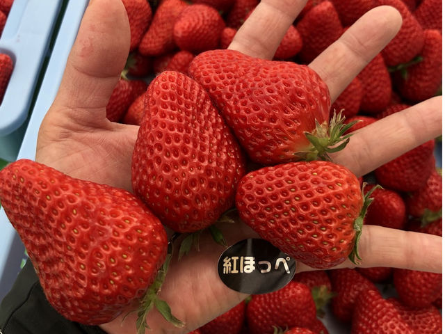 �g�ق��؂����́A��Ԃ�ɂȂ鎞��������܂��I�T�C�Y�̓^�C�~���O�I_䕈ꉏ