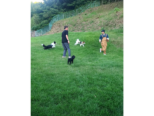 SʃtFXňSASɃybgqǂRɑĖႦ܂I_GREAT VACATION