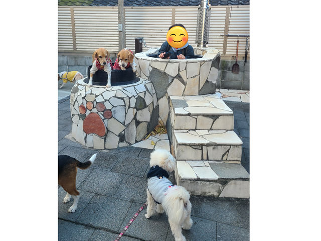 ybgLbYp̏܂_GREAT VACATION