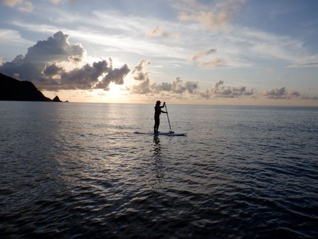 ���]�T�b�v���J�t�F