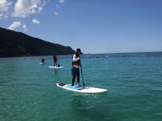 ���]�T�b�v���J�t�F