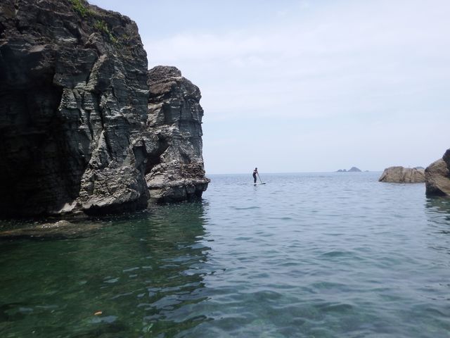 ���]�T�b�v���J�t�F