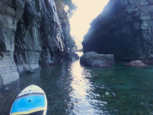 ���]�T�b�v���J�t�F