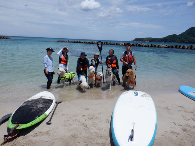 ���]�T�b�v���J�t�F