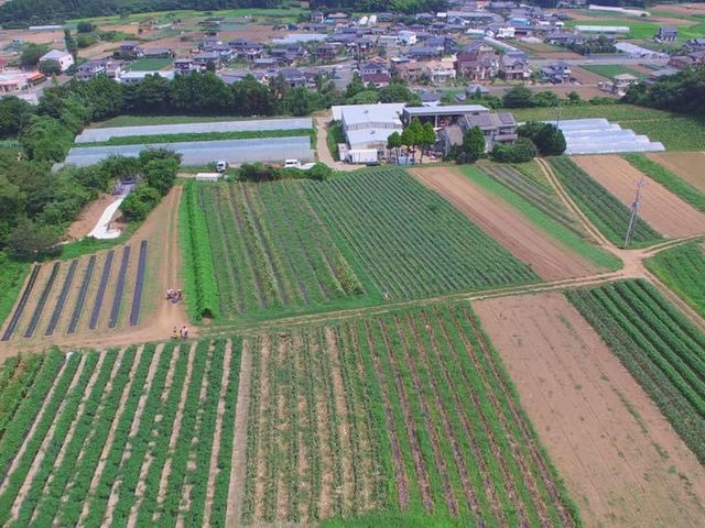 伊師浜海水浴場の口コミ一覧 じゃらんnet