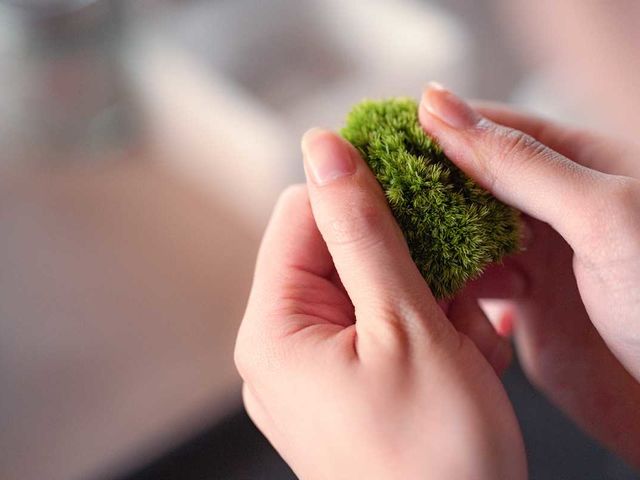 �~�͂𑕏�����ۂ��A���J�Ɉ������@���̌������܂��B_�ۉ�